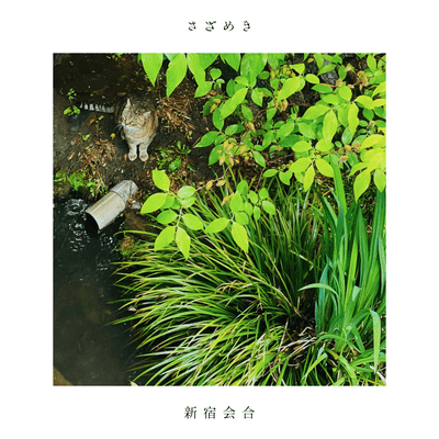 Sazameki Front Cover