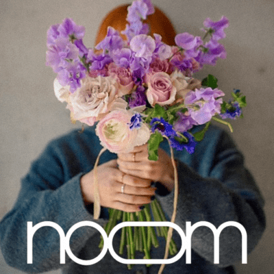 NOOM Front Cover
