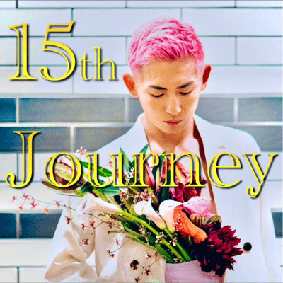 15th Journey Front Cover