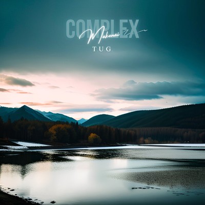 COMPLEXのジャケット写真
