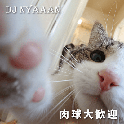 肉球大歓迎のジャケット写真