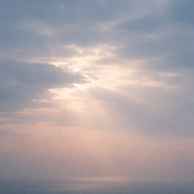 それでも今日を生きているのジャケット写真