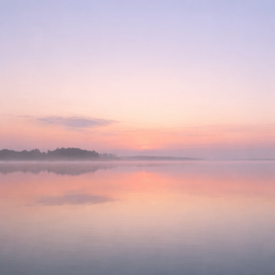 大人の定義のジャケット写真
