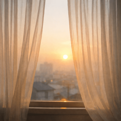 soredeii Front Cover