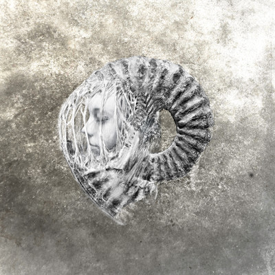 frosted lights Front Cover