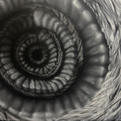 On the wave Front Cover