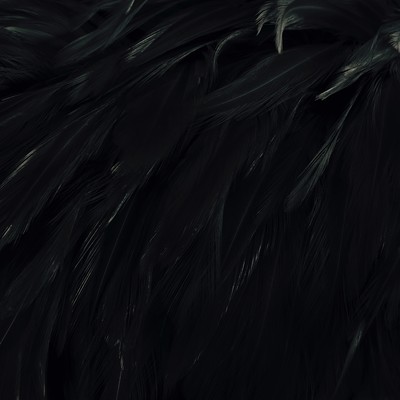 karasu Front Cover