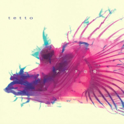 chimata no hone Front Cover