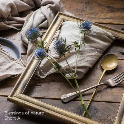 Blessings of nature Front Cover
