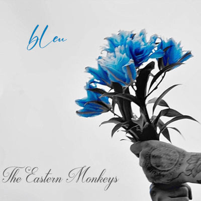 bleu Front Cover