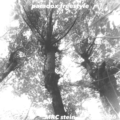 paradox freestyle Front Cover