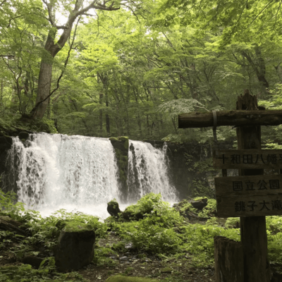 導かれる場所にのジャケット写真