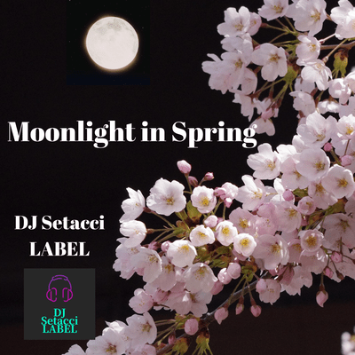 Moonlight in Spring Front Cover