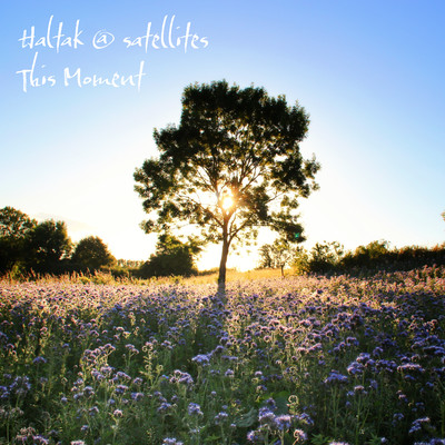 This Moment Front Cover