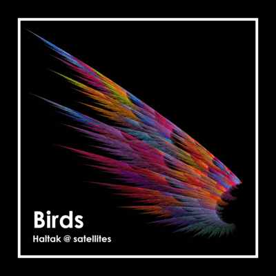 Birds Front Cover