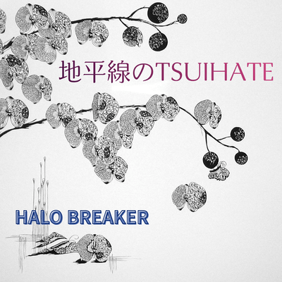 地平線のTSUIHATE (original)のジャケット写真