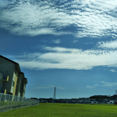 low airのジャケット写真