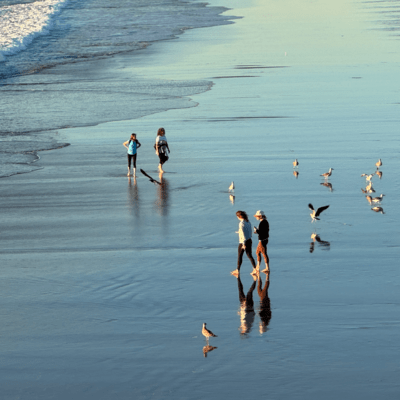 Voiceのジャケット写真