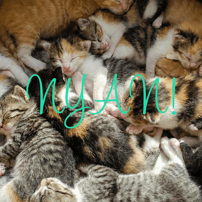 NYAN! Front Cover