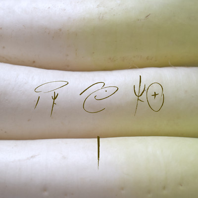 灰色畑 Iのジャケット写真