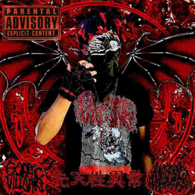 sentensei ijō Front Cover