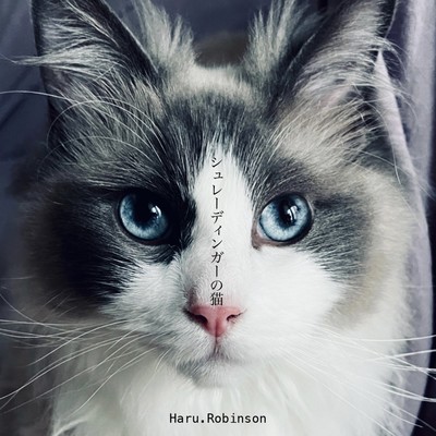 Schrödinger's cat Front Cover