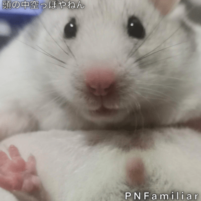 My mind is completely empty Front Cover