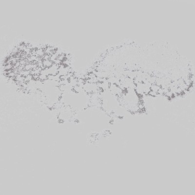 SUPERNOVAのジャケット写真