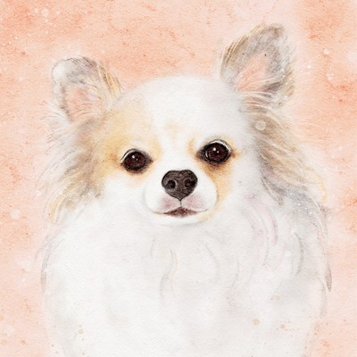 最後だって知っていたらのジャケット写真