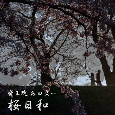 Cherry blossoms fullbloom Front Cover