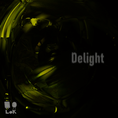 Delight Front Cover
