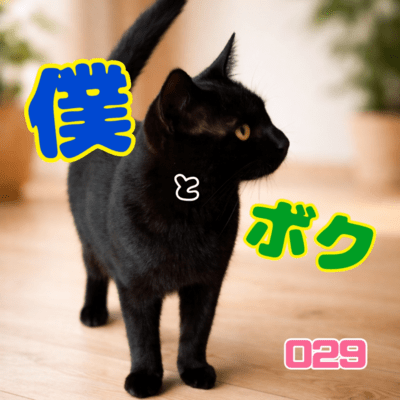 bokutoboku Front Cover