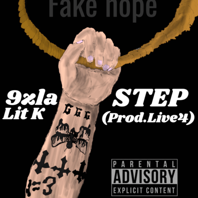 STEP Front Cover