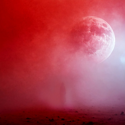 Dizzy Velvet Moon Front Cover