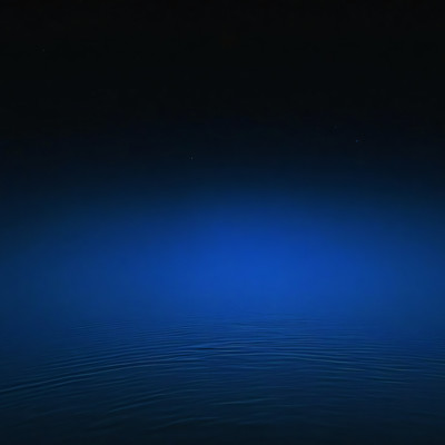 THE NIGHT IN BETWEENのジャケット写真