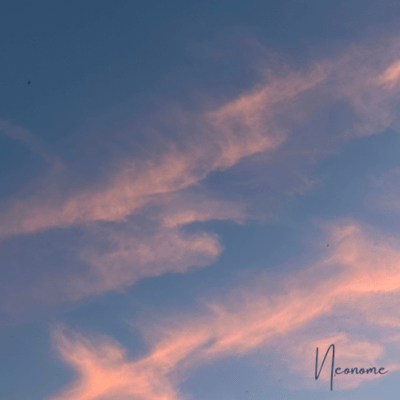 若葉のジャケット写真