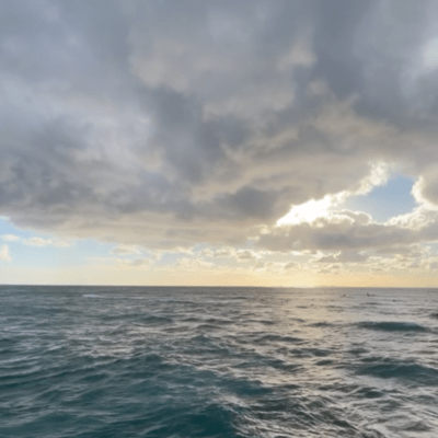 Erste Liebe Front Cover