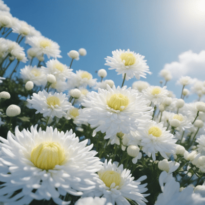 Dixieland Jazz Club 2 Front Cover