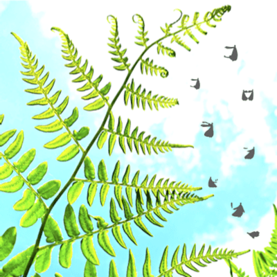 kokoro laundry Front Cover