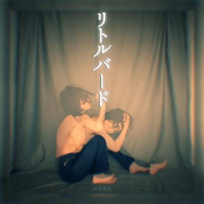 Little bird Front Cover