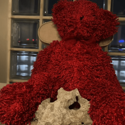 Hungry Bear Front Cover