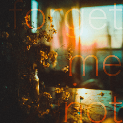 forgetmenotのジャケット写真