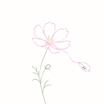 花占いのジャケット写真