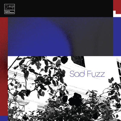 Sad Fuzz (2025 Remastered Version) Front Cover
