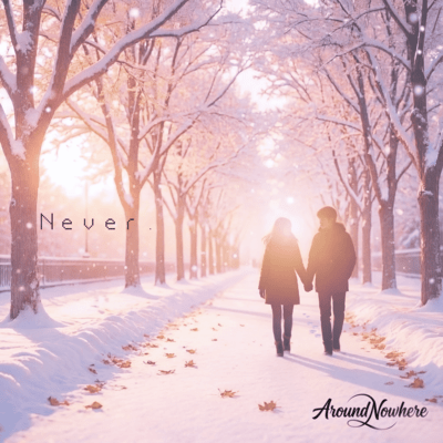 Never. Front Cover