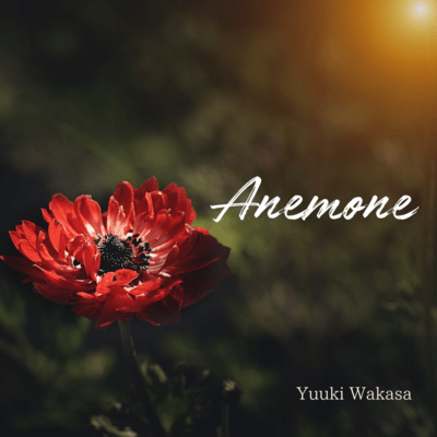 Anemone Front Cover