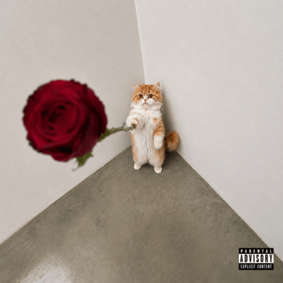 Jersey love Front Cover