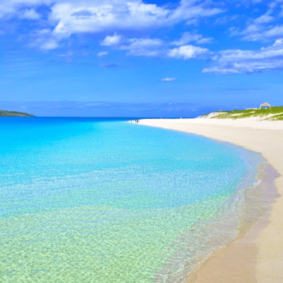 Shikikaze Front Cover