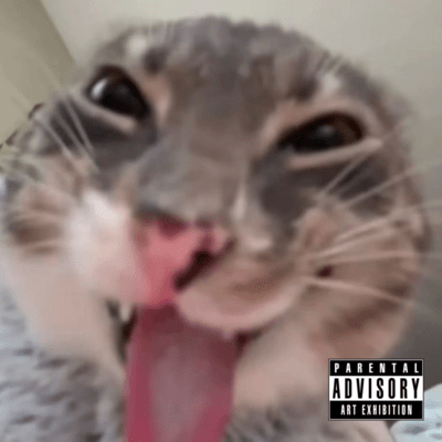 stupidのジャケット写真