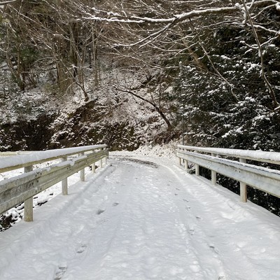 足音のジャケット写真